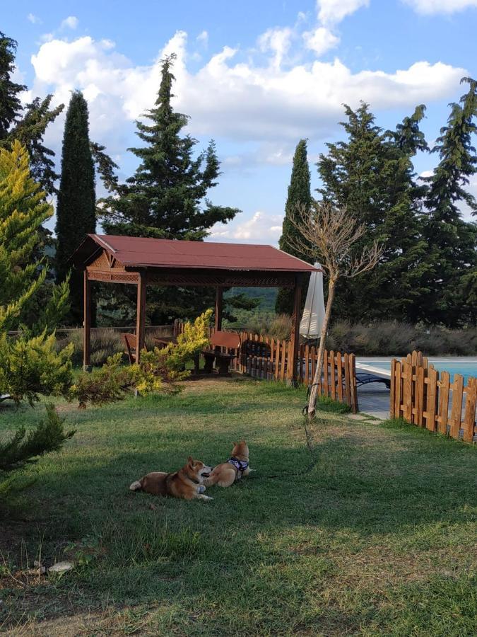 Agriturismo La Provenca Chianciano Terme Exterior photo