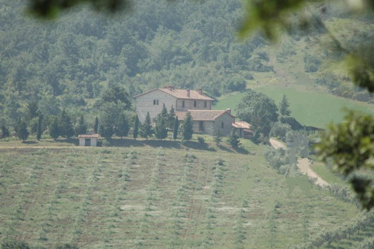 Agriturismo La Provenca Chianciano Terme Exterior photo